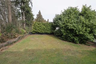 Photo 12: 6941 HALIFAX Street in Burnaby: Sperling-Duthie House for sale (Burnaby North)  : MLS®# R2762373