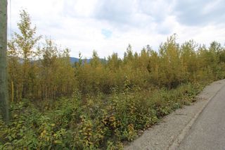 Photo 8: Lot 81 Sunset Drive: Eagle Bay Land Only for sale (Shuswap)  : MLS®# 10186644