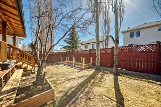 Photo 5: 42 Bridlecreek Park SW in Calgary: Bridlewood Detached for sale : MLS®# A2121760