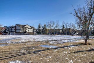 Photo 19: 203 1833 11 Avenue SW in Calgary: Sunalta Apartment for sale : MLS®# A1176143