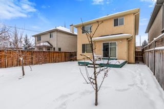 Photo 29: 196 Everwillow Green SW in Calgary: Evergreen Detached for sale : MLS®# A2120538