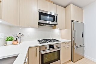 Photo 13: 115 88 9 Street NE in Calgary: Bridgeland/Riverside Apartment for sale : MLS®# A1109842