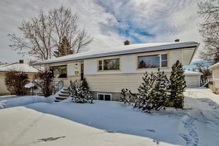 Photo 1: 531 Thornhill Drive NW in Calgary: Thorncliffe Detached for sale : MLS®# A2031837