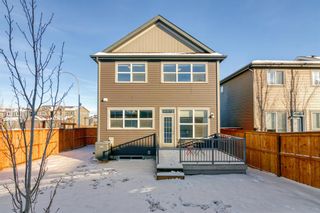 Photo 30: 6 Evanscrest Terrace NW in Calgary: Evanston Detached for sale : MLS®# A2015004