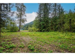 Photo 12: 7788 Trans Canada Highway in Revelstoke: Vacant Land for sale : MLS®# 10273662