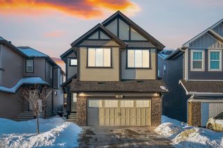 Photo 1: 64 Skyview Point Terrace in Calgary: Skyview Ranch Detached for sale : MLS®# A2031835