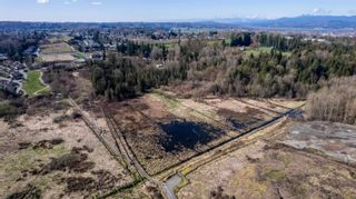 Photo 38: 33196 OLD RIVERSIDE Road in Abbotsford: Central Abbotsford House for sale : MLS®# R2865034
