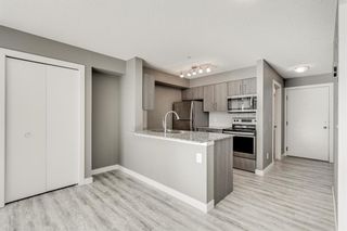 Photo 20: 1203 4641 128 Avenue NE in Calgary: Skyview Ranch Apartment for sale : MLS®# A2042459