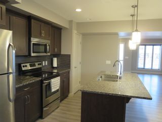 Photo 9: 683 Allard Boulevard SW in Edmonton: Zone 55 Attached Home for sale : MLS®# E4270669