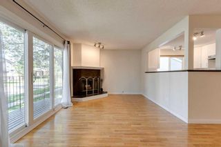 Photo 10: 313 28 Avenue NE in Calgary: Tuxedo Park Semi Detached (Half Duplex) for sale : MLS®# A2079035
