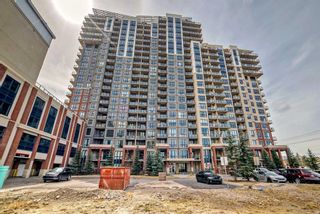 Photo 24: 518 8880 Horton Road SW in Calgary: Haysboro Apartment for sale : MLS®# A2129175