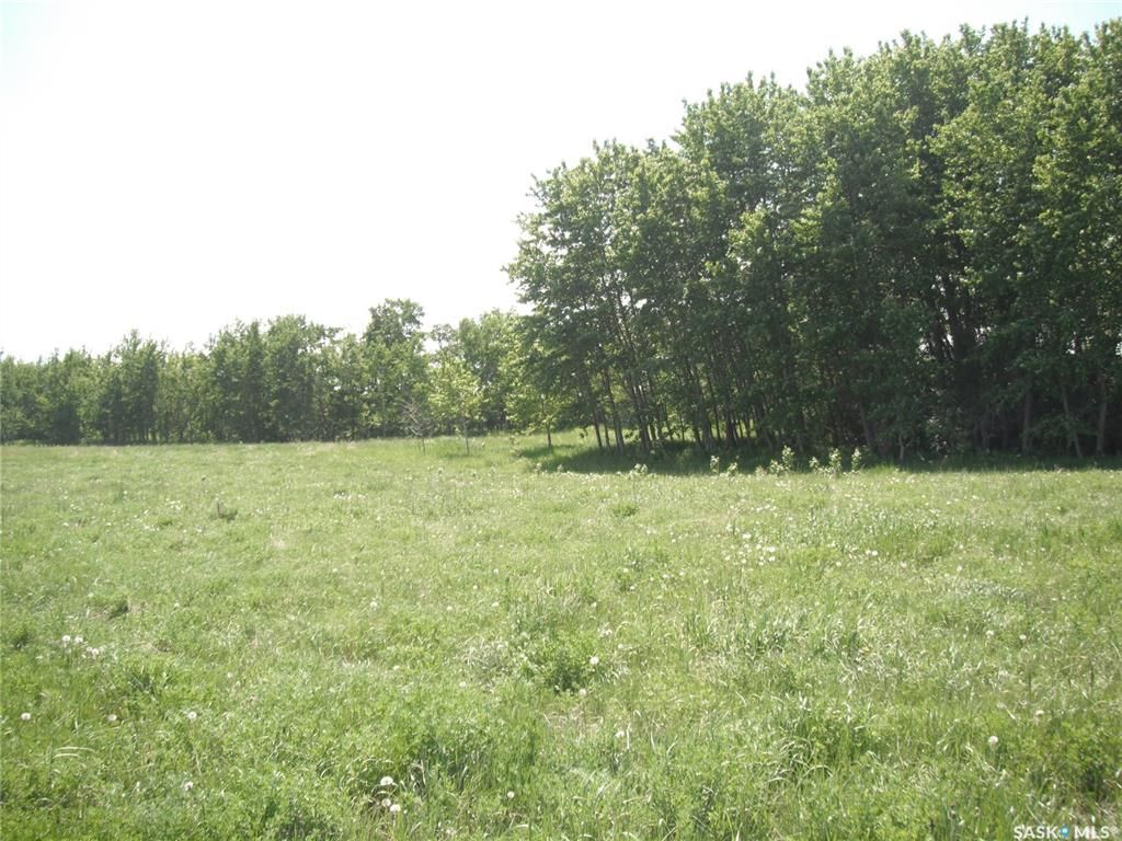 Main Photo: 12 Crescent Bay Road in Canwood: Lot/Land for sale (Canwood Rm No. 494)  : MLS®# SK907989
