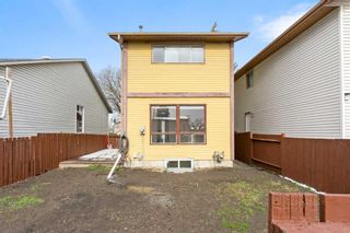 Photo 27: 4419 58 Street NE in Calgary: Temple Detached for sale : MLS®# A2127563