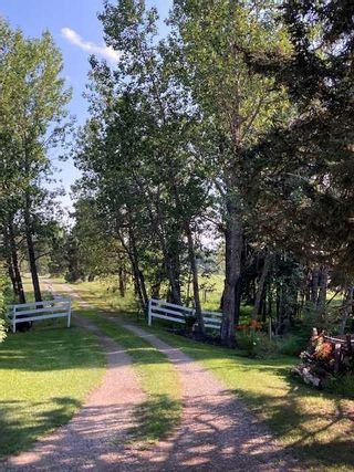 Photo 36: 4540 Township Road 340: Rural Mountain View County Detached for sale : MLS®# A2124737