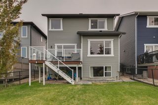 Photo 36: 169 Silverado Range Cove SW in Calgary: Silverado Detached for sale : MLS®# A2050111