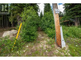 Photo 13: 145 COUGAR Road in Oliver: Vacant Land for sale : MLS®# 200537