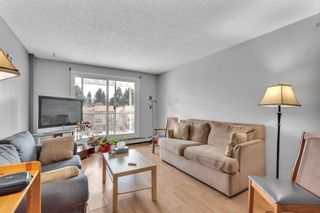 Photo 5: 401 3420 50 Street NW in Calgary: Varsity Apartment for sale : MLS®# A2127023