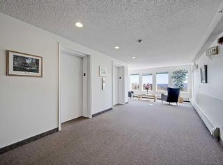 Photo 31: 2310 2310 Hawksbrow Point NW in Calgary: Hawkwood Apartment for sale : MLS®# A2122809