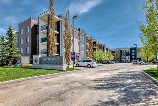 Main Photo: 217 355 Taralake Way NE in Calgary: Taradale Apartment for sale : MLS®# A2136143