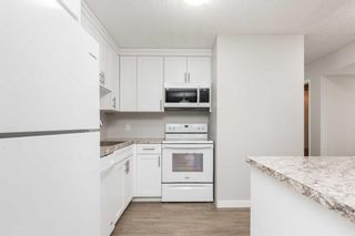 Photo 5: 206 75 Temple Boulevard W: Lethbridge Apartment for sale : MLS®# A2140990