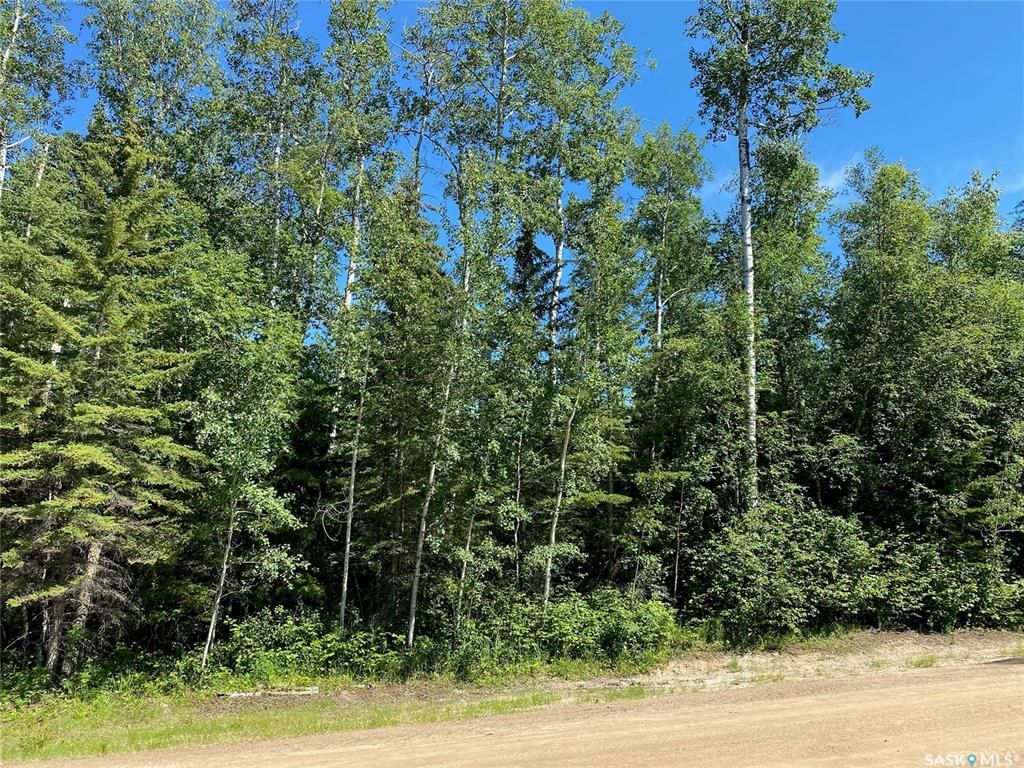 Main Photo: 1 Frances Place in Paddockwood: Lot/Land for sale (Paddockwood Rm No. 520)  : MLS®# SK902537