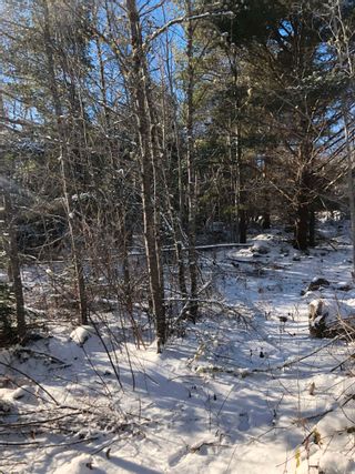 Photo 15: Lot 5 Lakeview Drive in Lake La Rose: Annapolis County Vacant Land for sale (Annapolis Valley)  : MLS®# 202300542