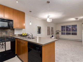 Photo 5: 329 35 RICHARD Court SW in Calgary: Lincoln Park Condo for sale : MLS®# C4030447