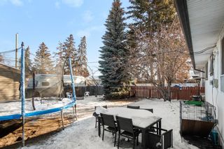 Photo 21: 524 Athlone Road SE in Calgary: Acadia Detached for sale : MLS®# A2032483