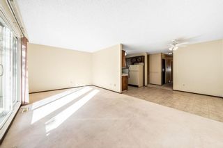Photo 10: 8128 13 Street NW in Calgary: Beddington Heights Semi Detached (Half Duplex) for sale : MLS®# A2002186