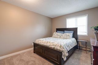 Photo 16: 2412 2412 Edenwold Heights NW in Calgary: Edgemont Apartment for sale : MLS®# A2048756