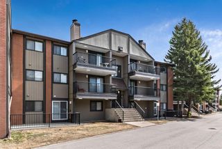 Photo 3: 3308 13045 6 Street SW in Calgary: Canyon Meadows Apartment for sale : MLS®# A2022790