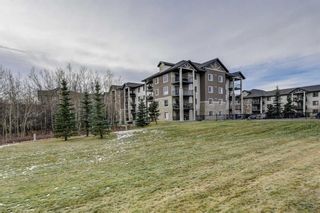 Photo 28: 3420 16969 24 Street SW in Calgary: Bridlewood Apartment for sale : MLS®# A1053388