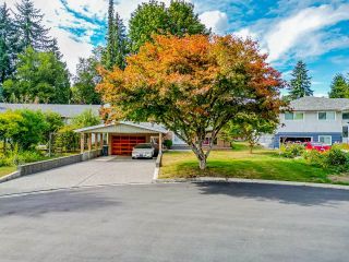 Photo 39: 913 SEACREST Court in Port Moody: College Park PM House for sale in "Glenayre/College Park Area" : MLS®# R2813835