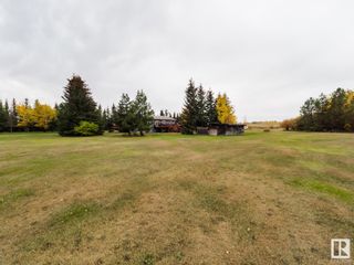 Photo 40: 55412 RGE RD 245: Rural Sturgeon County House for sale : MLS®# E4317445