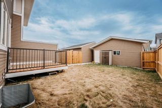 Photo 37: 364 Redstone Drive NE in Calgary: Redstone Semi Detached (Half Duplex) for sale : MLS®# A2129611