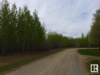 Photo 23: 50 Ave RR 281: Rural Wetaskiwin County Vacant Lot/Land for sale : MLS®# E4299520