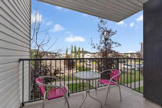 Photo 14: 204 7210 80 Avenue NE in Calgary: Saddle Ridge Apartment for sale : MLS®# A2096267