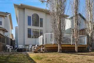 Photo 49: 246 Cranfield Green SE in Calgary: Cranston Detached for sale : MLS®# A2045374