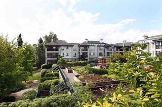 Photo 21: 335 19528 FRASER Highway in Surrey: Cloverdale BC Condo for sale in "THE FAIRMONT" (Cloverdale)  : MLS®# R2469719
