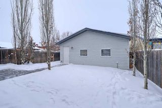 Photo 47: 84 Prestwick Drive SE in Calgary: McKenzie Towne Detached for sale : MLS®# A2101605