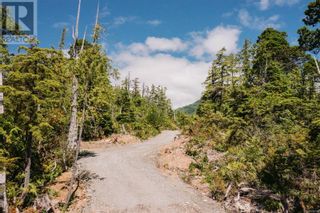 Photo 9: LOT B Hawkes Rd in Ucluelet: Vacant Land for sale : MLS®# 956705