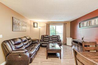 Photo 4: 304 21 Dover Point SE in Calgary: Dover Apartment for sale : MLS®# A2012271