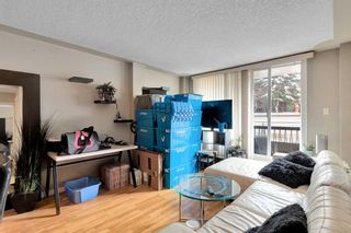 Photo 9: 303 1129 Cameron Avenue SW in Calgary: Lower Mount Royal Apartment for sale : MLS®# A2123648