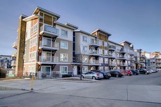 Photo 46: 1205 302 Skyview Ranch Drive NE in Calgary: Skyview Ranch Apartment for sale : MLS®# A2007686