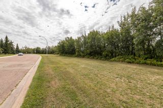 Photo 45: 1824 111A Street in Edmonton: Zone 16 Carriage for sale : MLS®# E4269754