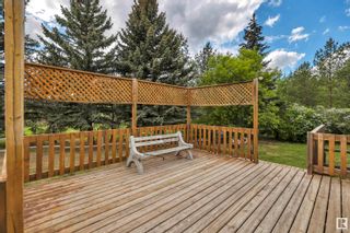Photo 32: : Rural Wetaskiwin County House for sale : MLS®# E4342259