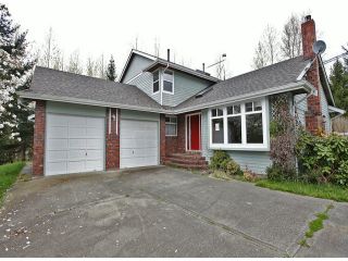 Photo 1: 23733 24TH Avenue in Langley: Campbell Valley House for sale : MLS®# F1316487