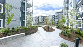 Photo 29: 2506 2180 KELLY Avenue in Port Coquitlam: Central Pt Coquitlam Condo for sale : MLS®# R2691631