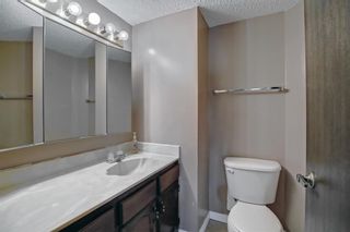 Photo 21: 32 Coach Manor Rise SW in Calgary: Coach Hill Detached for sale : MLS®# A2011473