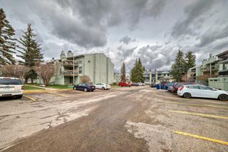 Photo 39: 518 10120 Brookpark Boulevard SW in Calgary: Braeside Apartment for sale : MLS®# A2128653
